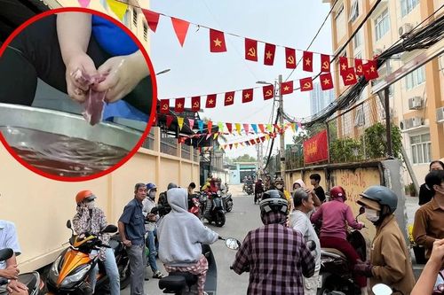 TP.HCM: Toàn cảnh vụ nghi thịt kém chất lượng vào suất ăn bán trú ở nhiều trường học