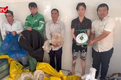 Kiểm tra căn hộ cho thuê phát hiện ổ nhóm chuyên trộm cắp chó, mèo