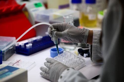 Virus Nipah gây tử vong cao, vì sao chưa có thuốc và vaccine?