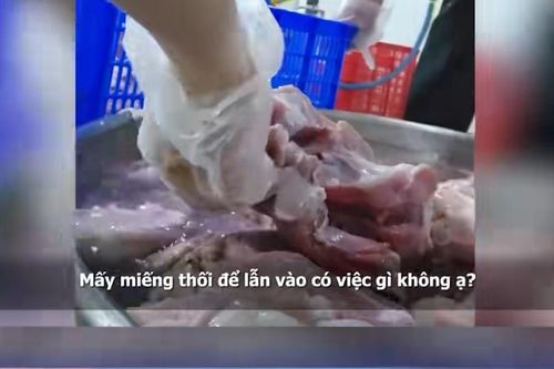 TP.HCM họp báo, thông tin về đơn vị dùng thịt bẩn làm cơm cho học sinh