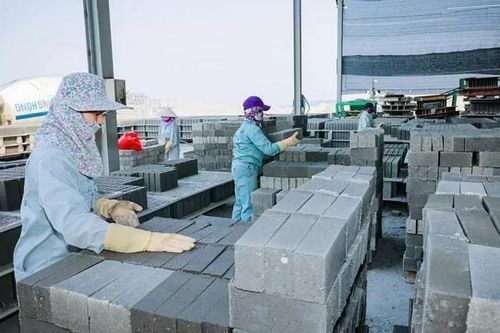 Doanh nghiệp vật liệu Việt bước vào cuộc đua tuần hoàn và làm chủ công nghệ