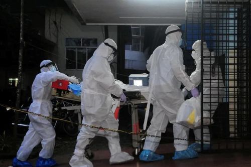 Việt Nam tiếp tục theo dõi sát và phối hợp với các nước phòng chống dịch bệnh do virus Nipah
