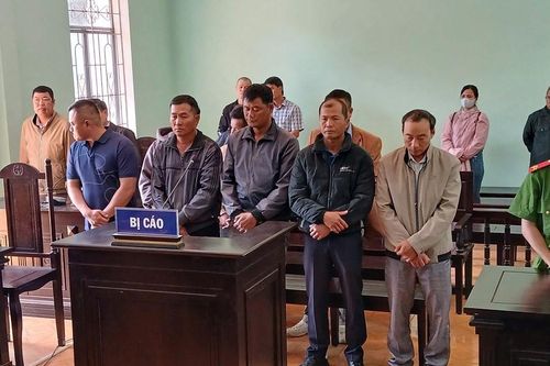 Gia Lai: Xét xử 8 bị cáo liên quan sai phạm trong quản lý, bảo vệ rừng