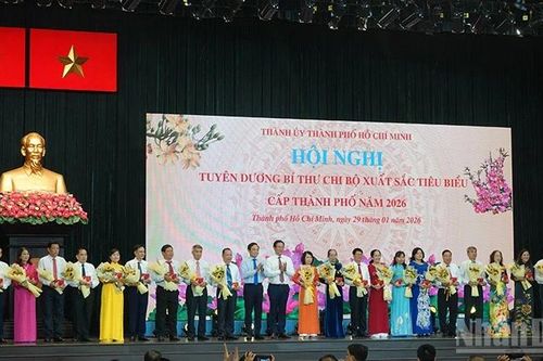 Thành phố Hồ Chí Minh: Tuyên dương 233 Bí thư chi bộ xuất sắc năm 2026