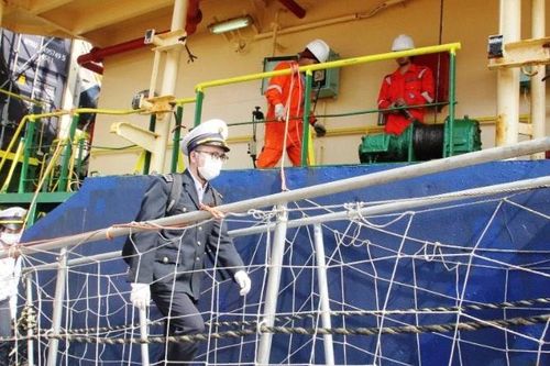 Hải Phòng tăng cường giám sát, phòng chống bệnh do virus Nipah