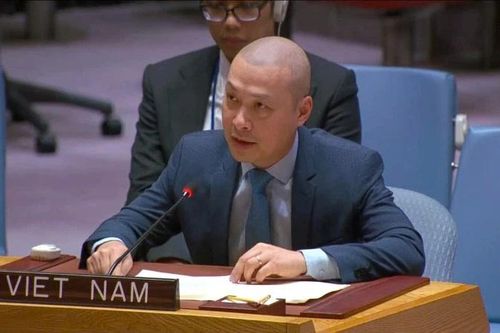 Việt Nam sẵn sàng đóng góp thiết thực cho tiến trình hòa bình và tái thiết Dải Gaza