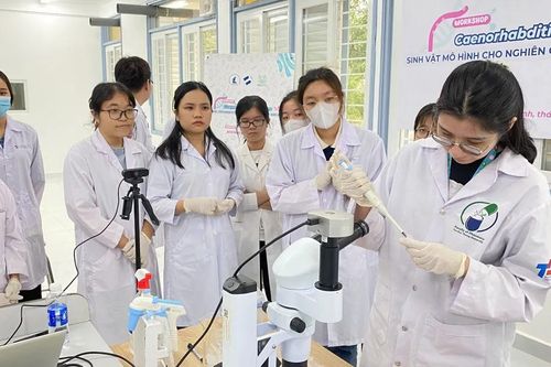 Đột phá đào tạo nhân lực công nghệ chiến lược - Bài 2: Nhận diện những rào cản