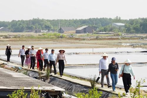 Phát triển Cần Giờ dựa trên sinh kế bền vững
