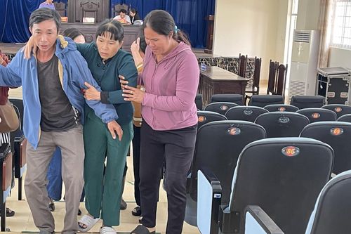 Vụ án chị gái và em trai ẩu đả tại Bà Rịa - Vũng Tàu (cũ): Tòa trả hồ sơ, yêu cầu truy tìm vật chứng