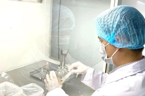 Thạc sĩ 9x nuôi trồng nấm đông trùng hạ thảo, mang về doanh thu tiền tỉ