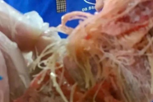 Nhiều trường học ở TPHCM ngưng suất ăn bán trú vì nghi dùng thịt hết hạn