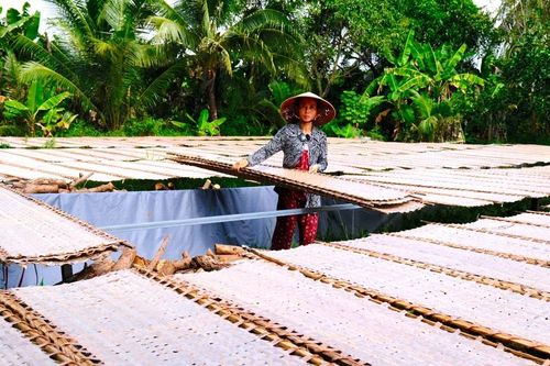 Làng bánh tráng 200 năm tất bật vào vụ Tết