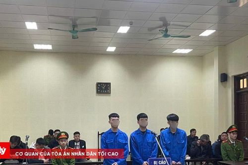 3 bị cáo lĩnh án vì mua bán trái phép ma túy