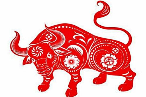 Tử vi tuổi Sửu năm Bính Ngọ 2026 chi tiết từng năm sinh