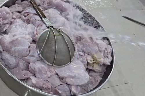 Hàng loạt trường học ở TPHCM phải đột ngột dừng ăn bán trú