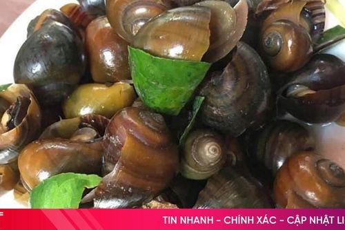 Cách chọn ốc làm sẵn ngon sạch, không 'ngậm' hóa chất cho bữa cơm gia đình