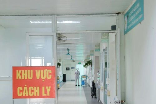 Phòng bệnh do virus Nipah: Khuyến cáo không ăn trái cây động vật đã ăn dở