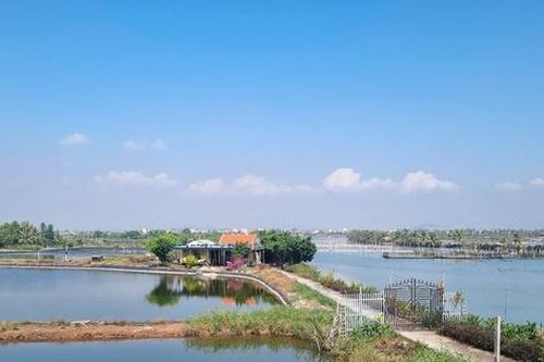 Tích cực giải quyết vướng mắc GPMB tại dự án Hạ Long Xanh