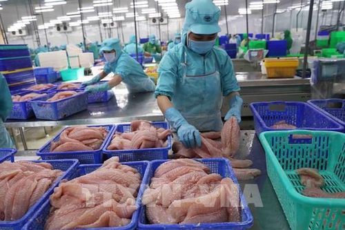 Liên minh châu Âu tăng cường kiểm soát thủy sản nhập khẩu