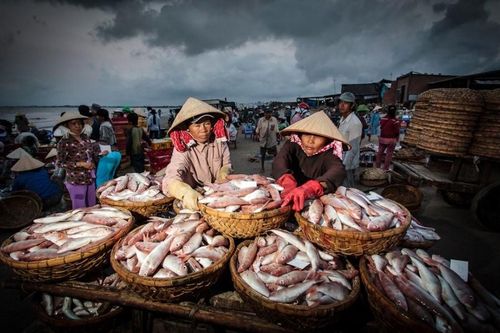Tăng trưởng trên lằn ranh, ngành thủy sản Việt Nam lộ rõ đường phân hóa