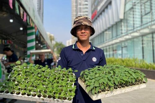 Phiên chợ đặc sản bản địa – tiêu dùng xanh: Từ câu chuyện vùng miền đến giỏ quà Tết đô thị