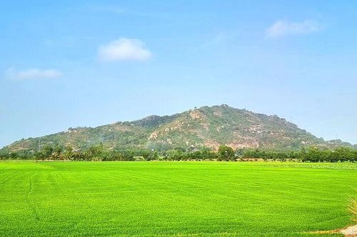 Du xuân trên đỉnh núi Sam