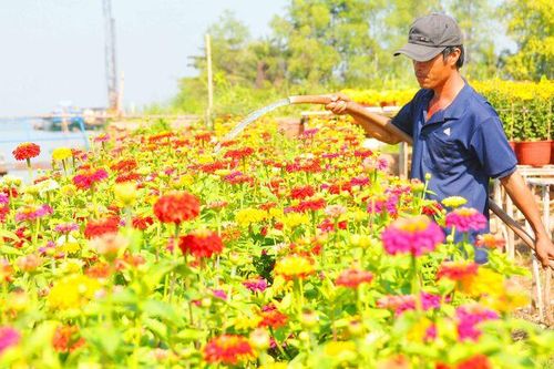 Mùi Tết từ quê ra phố