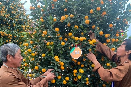 Điểm hẹn quật cảnh Cẩm Hà
