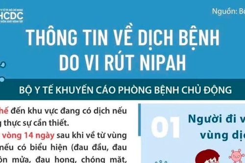 Gia Lai chủ động phòng, chống dịch bệnh do vi rút Nipah