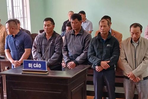 Xét xử 3 nhân viên bảo vệ rừng nhận hối lộ của lâm tặc