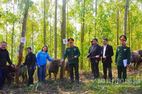 'Cần câu' cho bản làng vùng cao