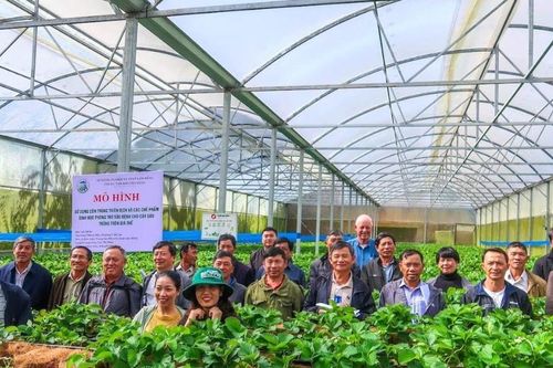 Chuyển đổi từ chuỗi cung ứng sang chuỗi giá trị ngành hàng