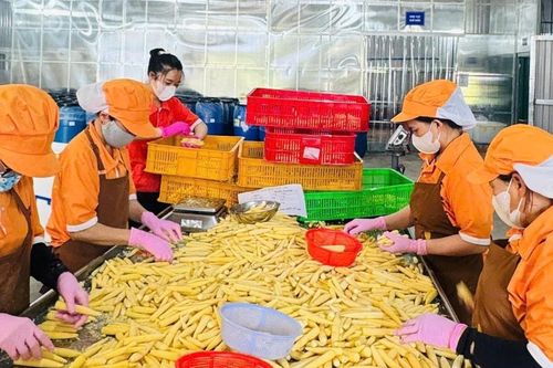Hỗ trợ thanh niên khởi nghiệp bằng nhiều việc làm thiết thực