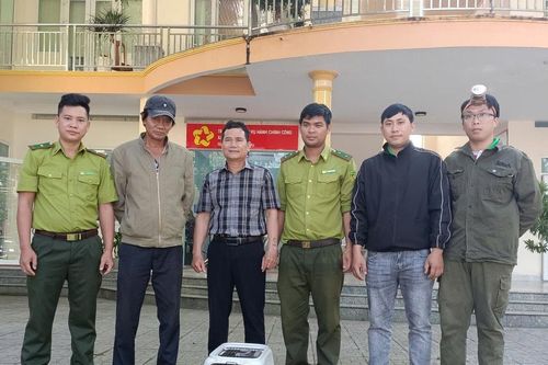 Vườn Quốc gia Cát Tiên tiếp nhận, cứu hộ cá thể mèo rừng quý hiếm