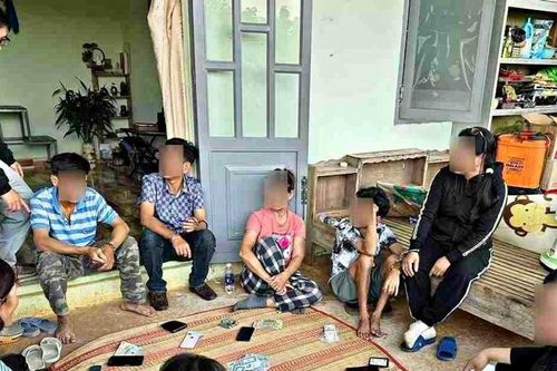 Đột kích vườn sầu riêng, bắt quả tang 9 người đánh bạc