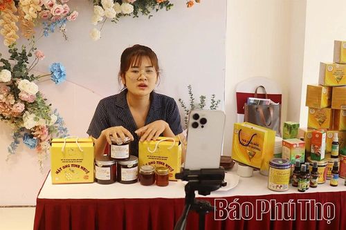 Xu thế sắm Tết trực tuyến
