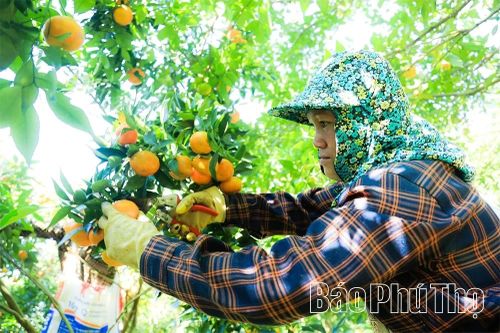 Đánh thức tiềm năng của Vân Sơn