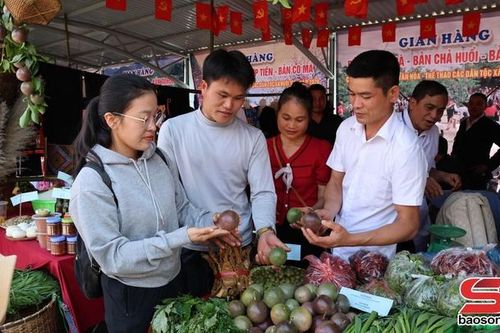 Huổi Một chuyển dịch cơ cấu cây trồng