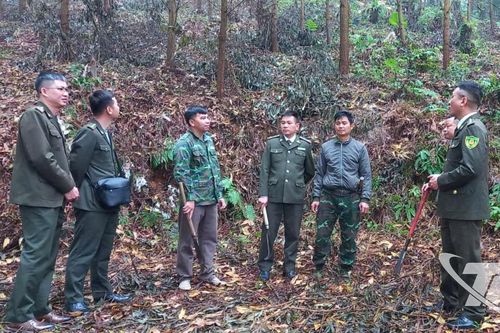 Bảo vệ 'lá chắn xanh'