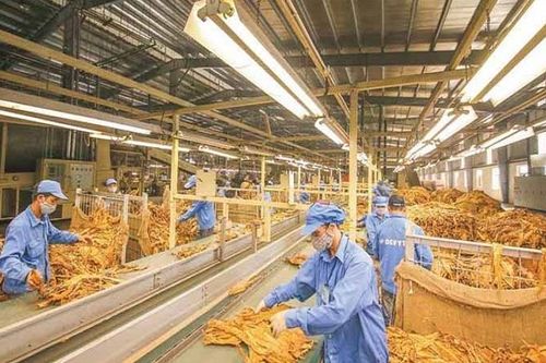 Bộ Công Thương công bố hạn ngạch thuế quan nhập khẩu thuốc lá nguyên liệu năm 2026