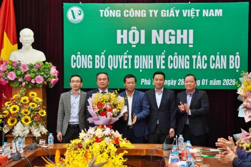 Ông Tạ Đức Long được bổ nhiệm là Tổng Giám đốc Tổng công ty Giấy Việt Nam