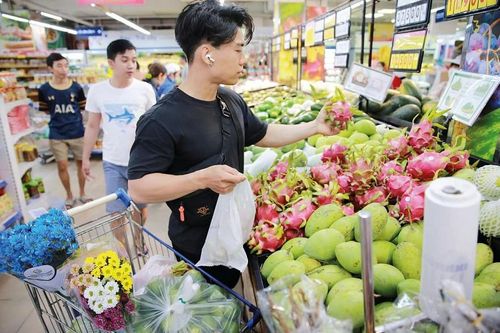 Báo chí quốc tế: Việt Nam là câu chuyện thành công trong số các nền kinh tế châu Á