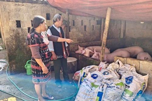 Những 'lá chắn' giữa đại ngàn Trường Sơn