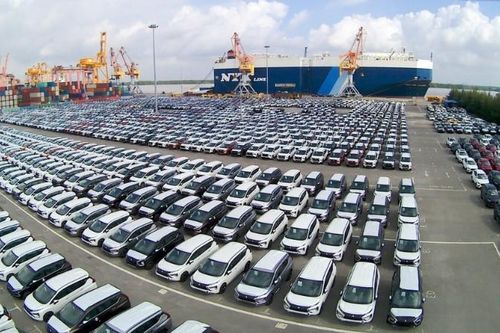 Việt Nam nhập khẩu hơn 500 ô tô mỗi ngày