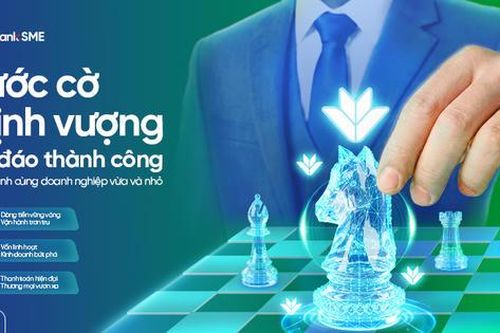 VPBankSME và nước cờ vốn: Cần gỡ một thế bí hay cần giúp thắng cả ván cờ?