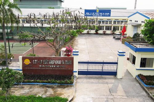 Xuất nhập khẩu Sa Giang (SGC): Lãi sau thuế cả năm đạt kỷ lục 128 tỷ đồng, tổng nợ phải trả tăng cao