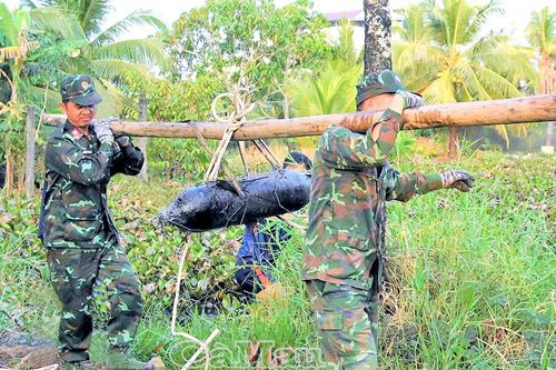 Hơn 166 tỷ đồng rà phá bom mìn, vật nổ tại Cà Mau