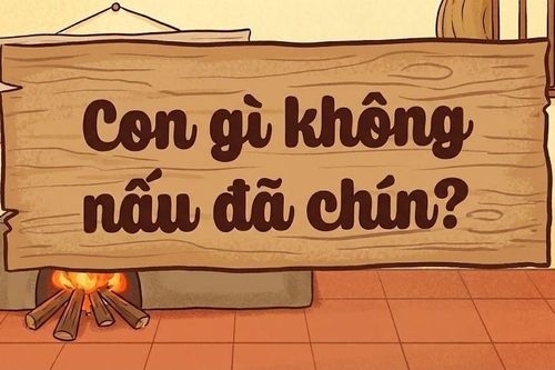 Đố bạn, con gì không nấu đã chín?