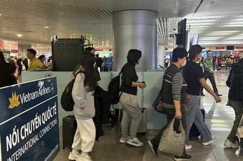 Sân bay Tân Sơn Nhất phát khuyến cáo liên quan virus Nipah