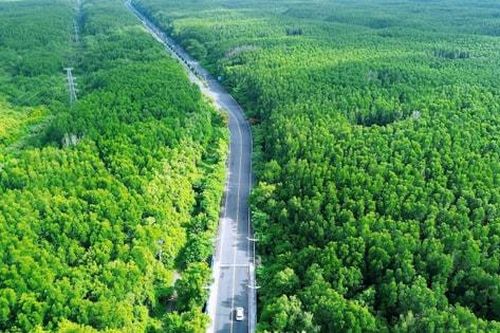 TP Hồ Chí Minh: Phát triển Cần Giờ thành cực tăng trưởng du lịch mới